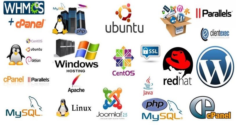 Windows Server,Linux Server,C-Panel,My-Sql Windows Server,Linux Server,C-Panel,My-Sql